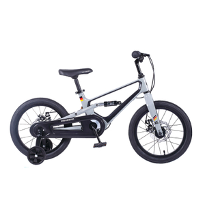 Professionally Made High Load Capacity Kids Bike Thoughtful Design