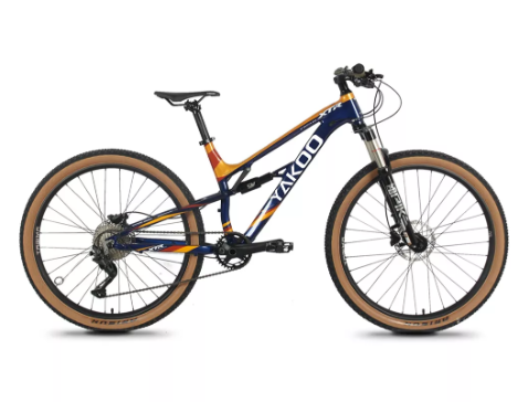What Is MTB Bike​